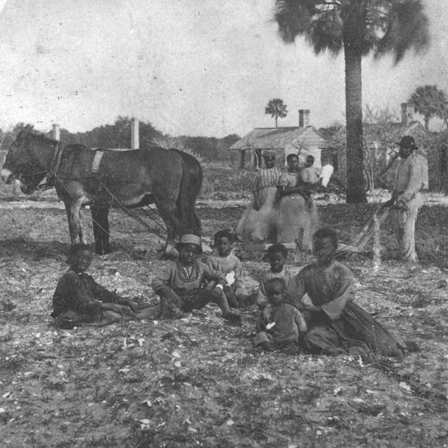 historic image of family sitting on ground in front of tabby cabins with palm in background