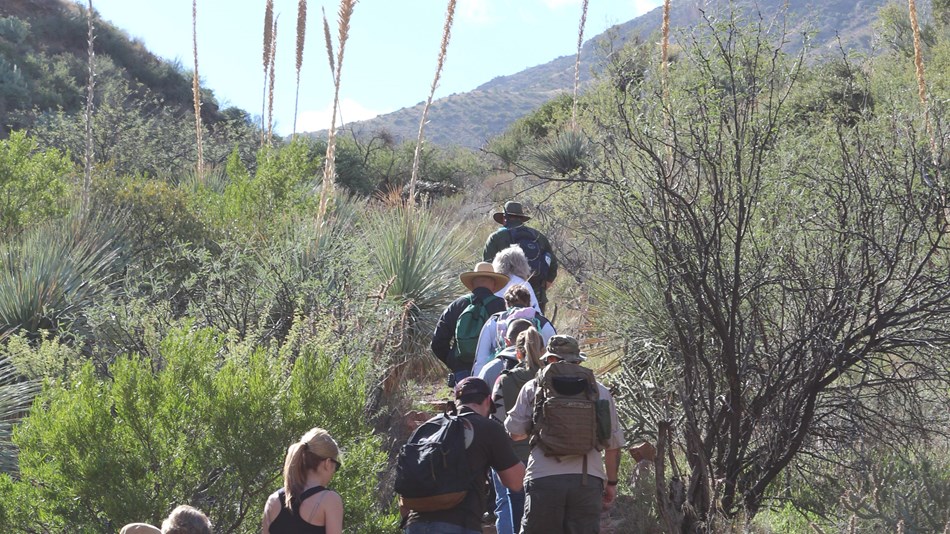 Ranger leads tour group up to a cliff dwelling 
