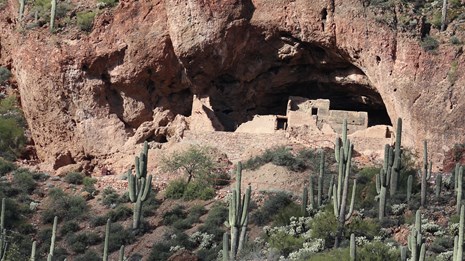 Lower Cliff Dwelling surrounded by a vegetated hillside.