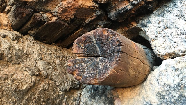 The charred end of a log protrudes from the wall of a cliff dwelling