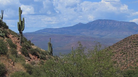 Tonto Basin