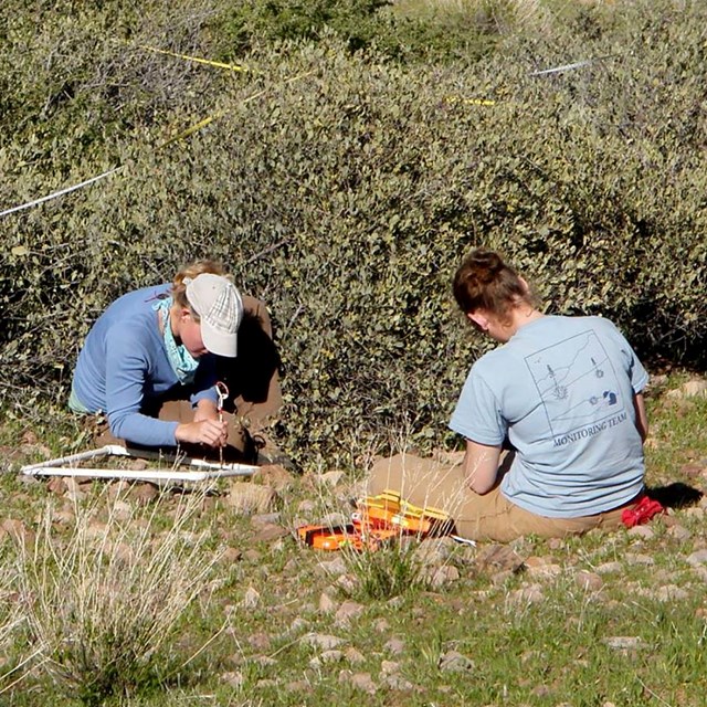 Two women sit in grass near a brushy area. One uses a quadrat while the other records data.