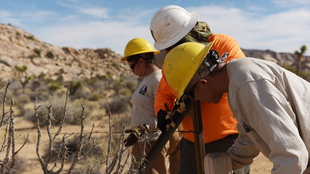 Three people wearing hard hats work on a trail.