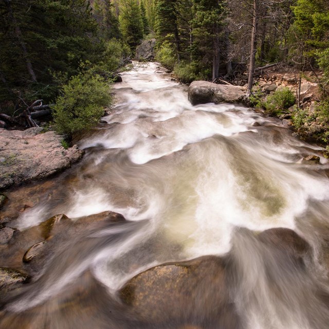 A flowing river runs through a tree filled forest.