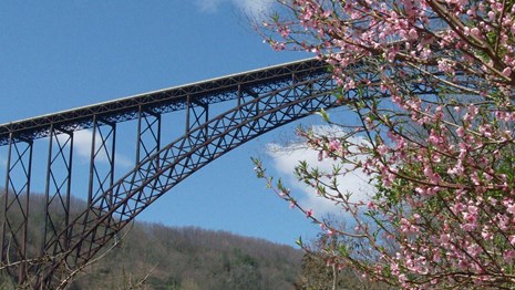a large bridge over a valley