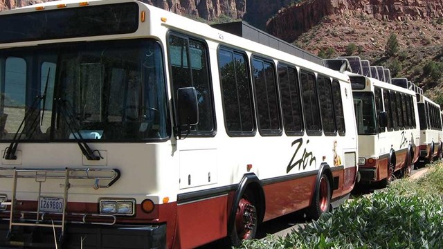 a row of shuttle buses in a parkinglot