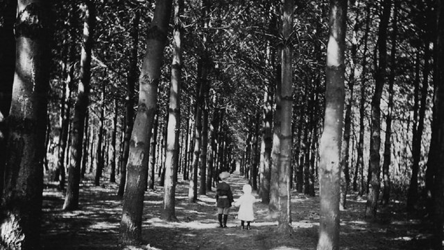 children standing in a schulwald