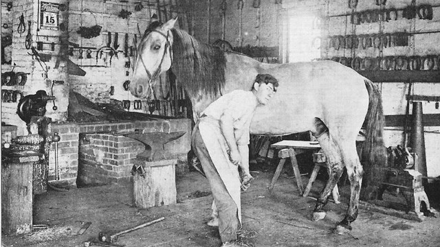 blacksmith working with a horse