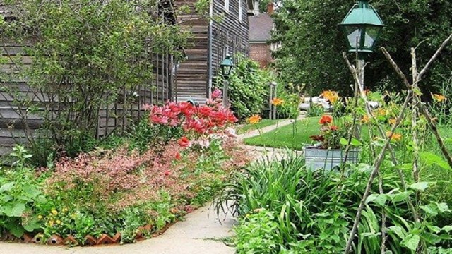 woodshed garden