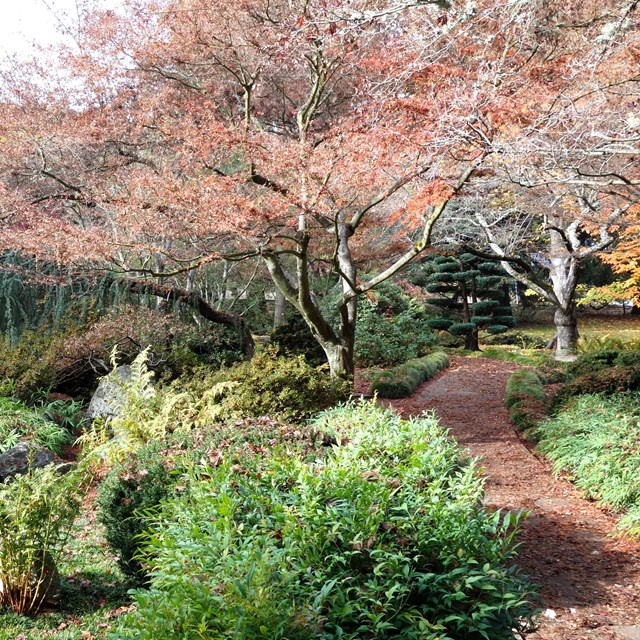 Public park with greenery. 