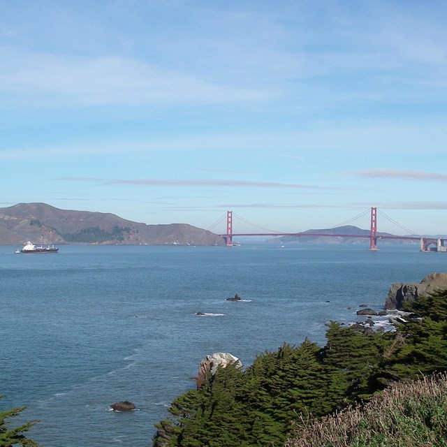 Bay Bridge 