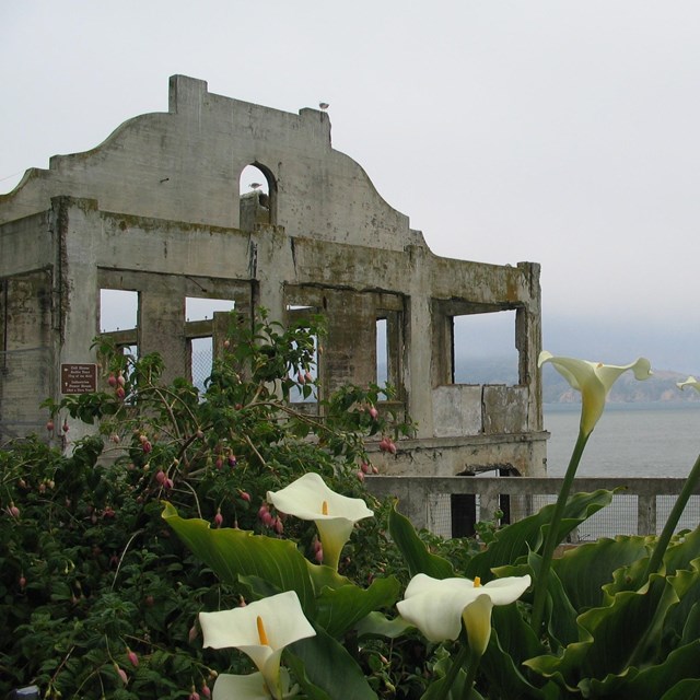 Photo of Alcatraz 