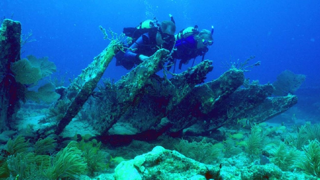 diver at shipwreck