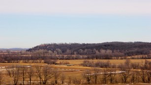 leary site