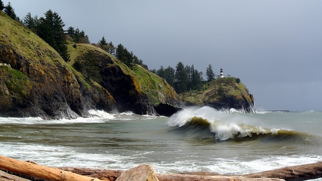 cape disappointment