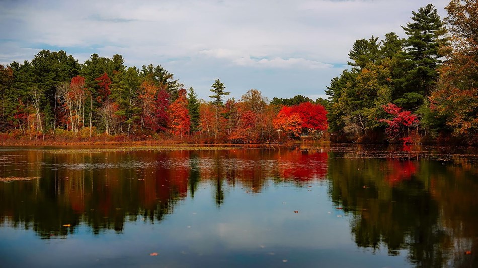 Lake surrounded by colorful trees in autumn. 
