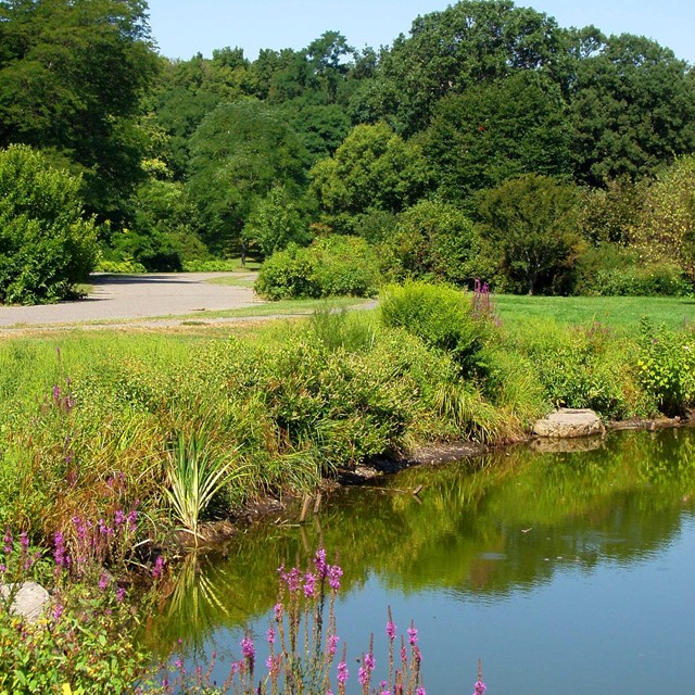 Green space along a waterway. 