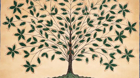 Shaker painting "Tree of Life" 