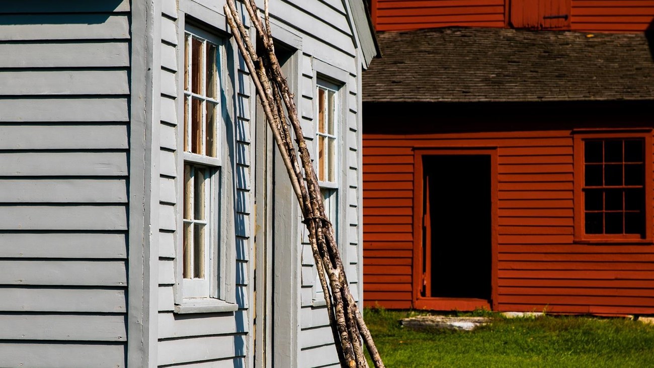 long branches leaning against a single story white clapboard building