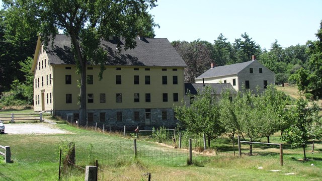 large yellow building flanked by an orchard