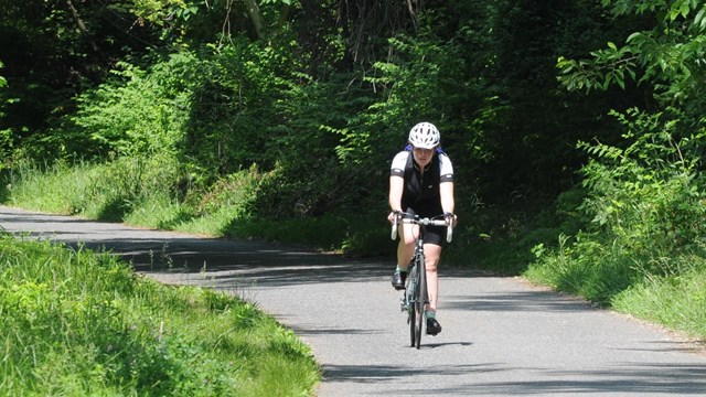 Lone bicyclist on trail in Chesapeake and Ohio Canal National Historic Park. Surrounded by plants