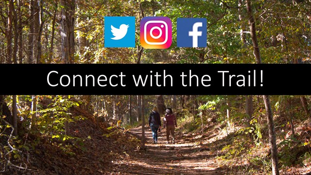 People walk down a tree tunnel path with social media icons placed on the image.