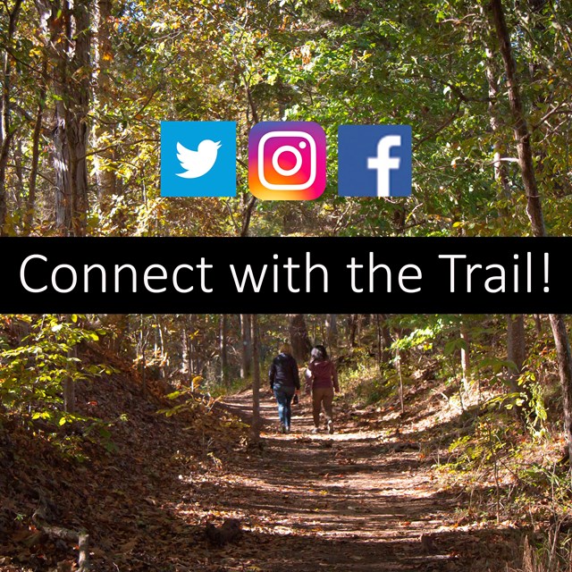People walk down a tree tunnel path with social media icons placed on the image.