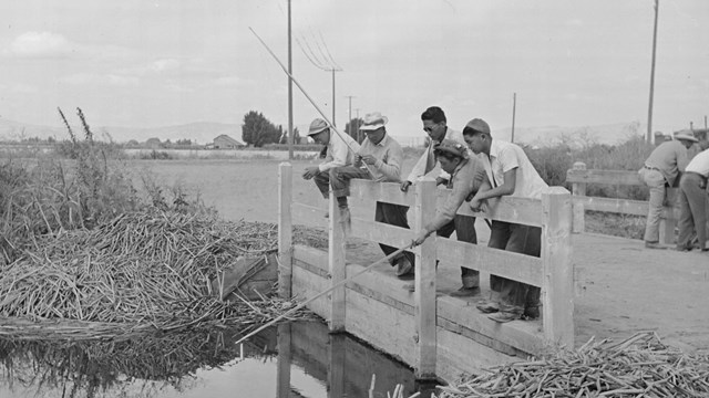 People fishing off of a bridge