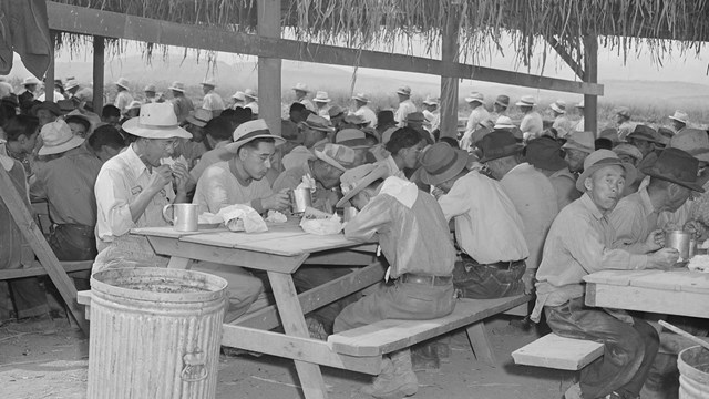 People eating at picnic tables