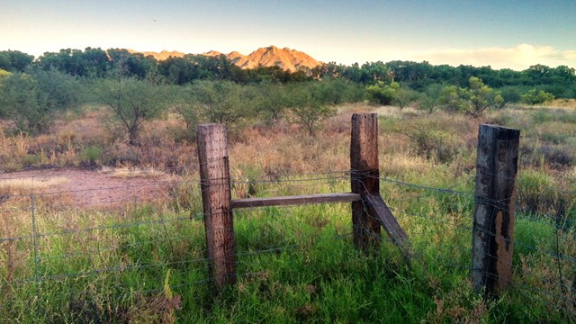 mountain in distance with grassland and fence