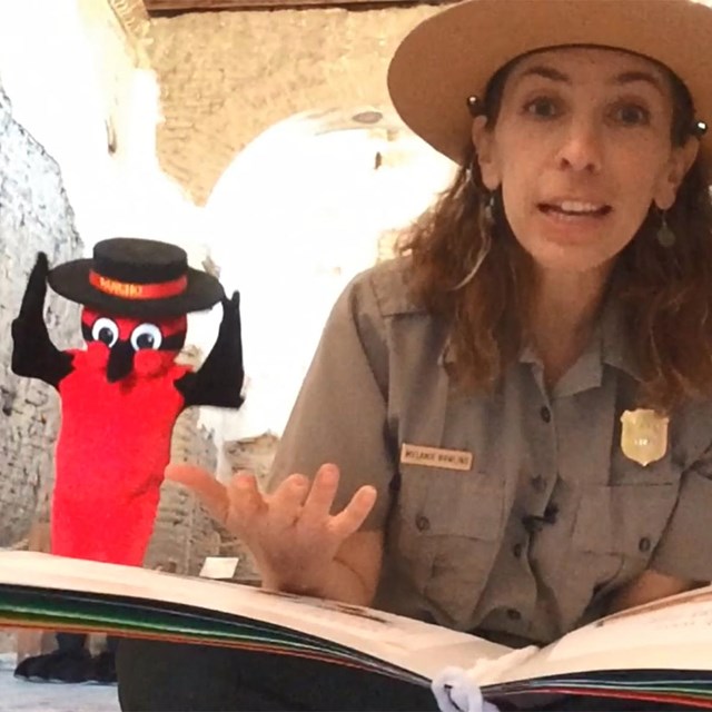 ranger sitting cross-legged with book on her lap and large red bird with black hat behind