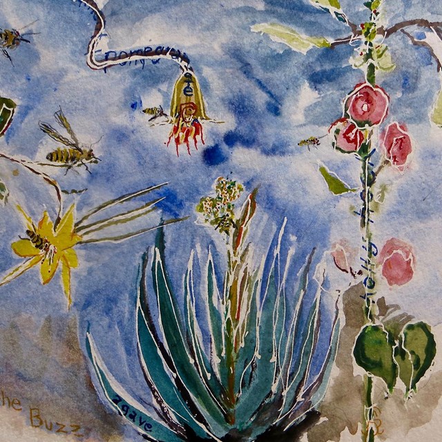 Watercolor painting of desert flowers and insects.