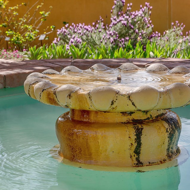Stone fountain surrounded by flowers