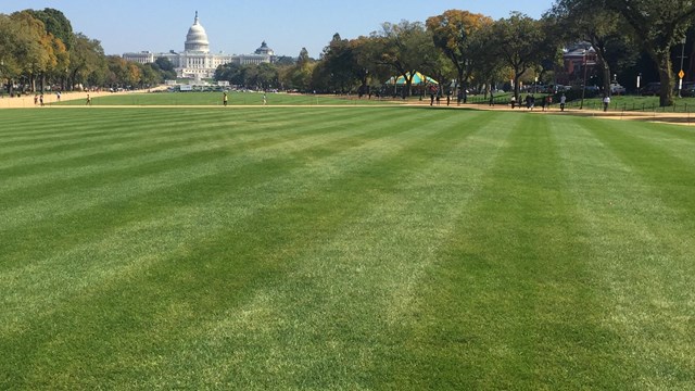 blue tractor in front of washington monument lays sod