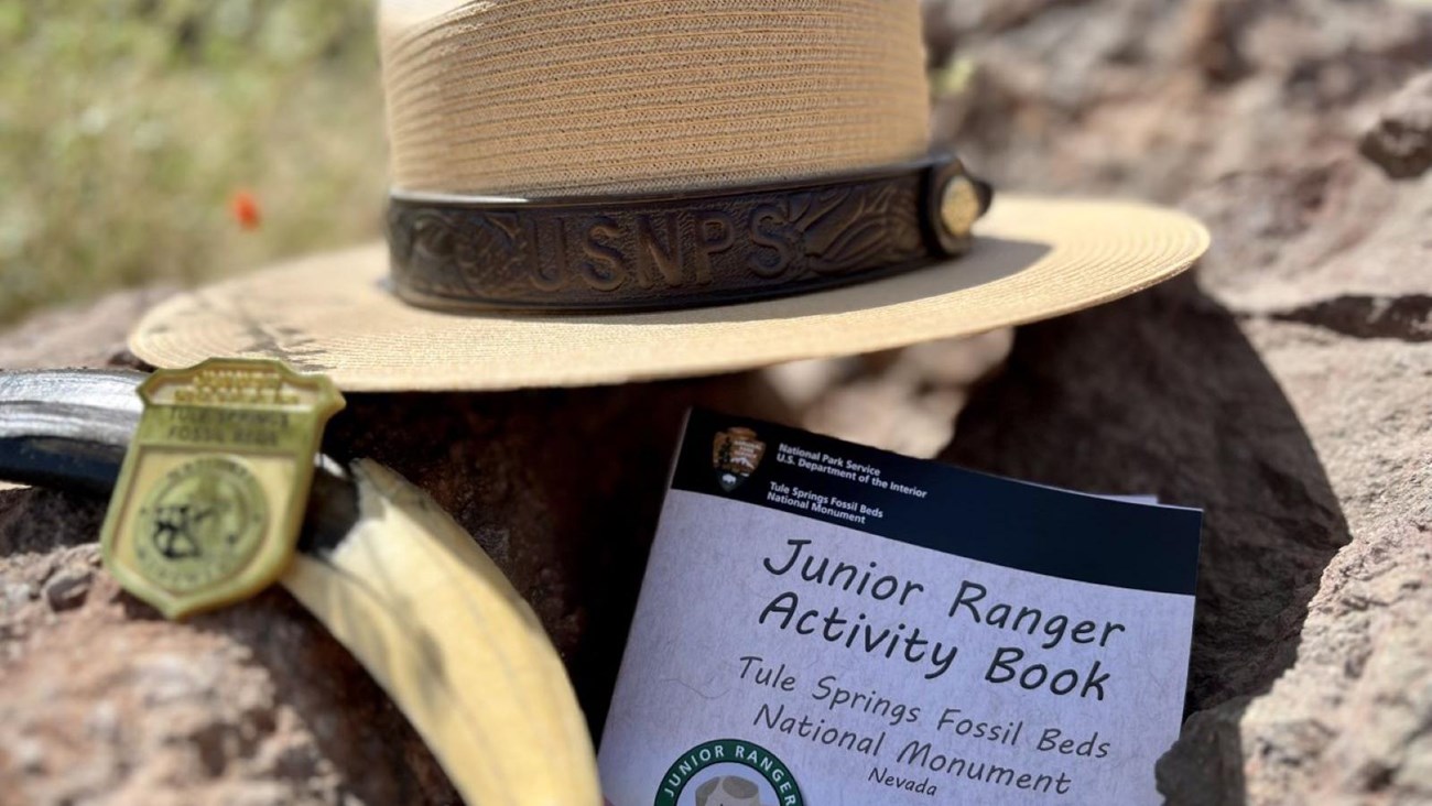 A ranger flat hat, junior ranger badge, sabertooth cat tooth, and a junior ranger book.