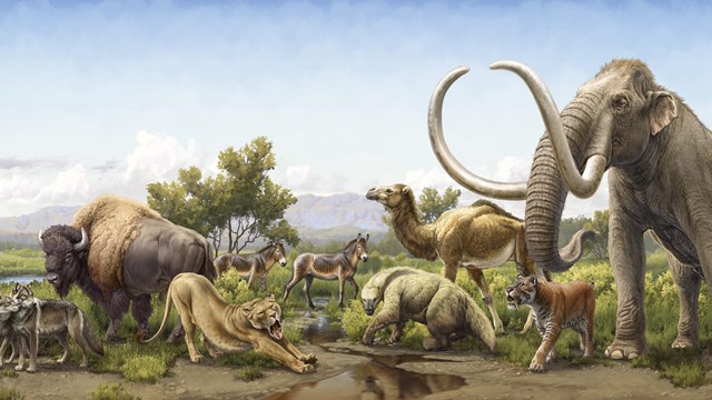 Ice Age megafauna including bison, dire wolf, mammoth, camel, ground sloth, big cats, and horse.