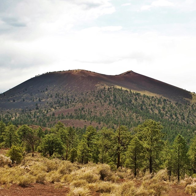 Sunset Crater Volcano National Monument