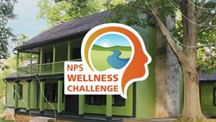 Orange head with text that reads "NPS Wellness Challenge" and a green house in the background.
