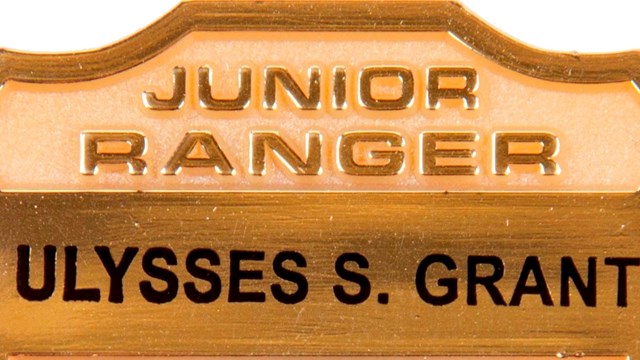 Gold Junior Ranger Badge with black text. 