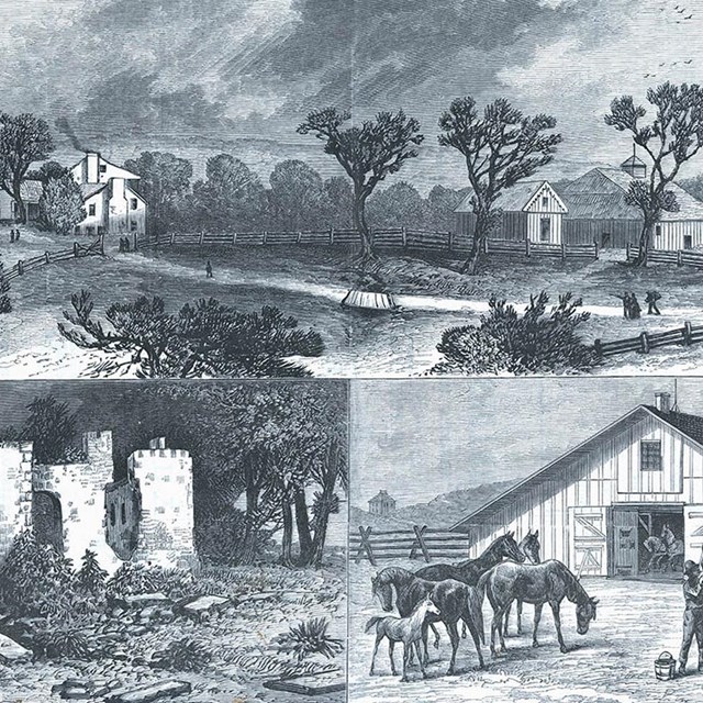 Missouri - President Grant's farm near St. Louis - From Sketches by William Staengel