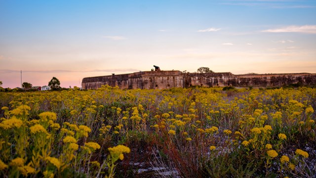 Fort Pickens stands tall in a field of yellow flowers.