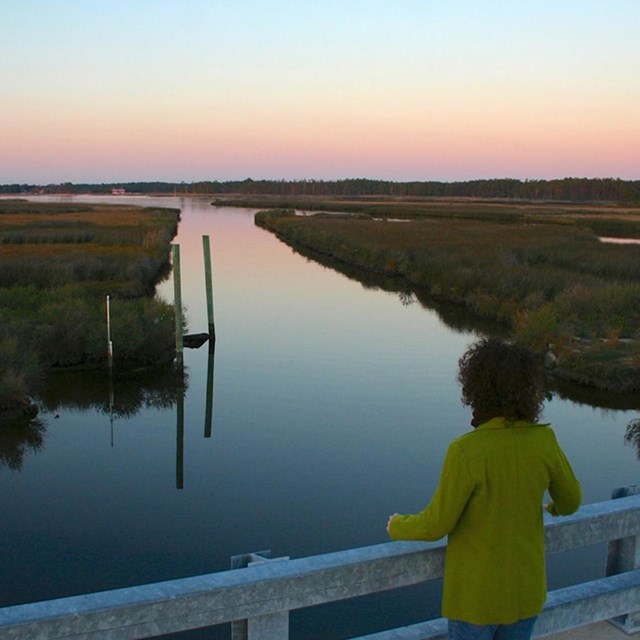 A woman looks out over the Eastern Shore of Maryland.