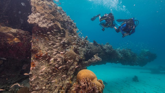 Recreational Diving in National Parks