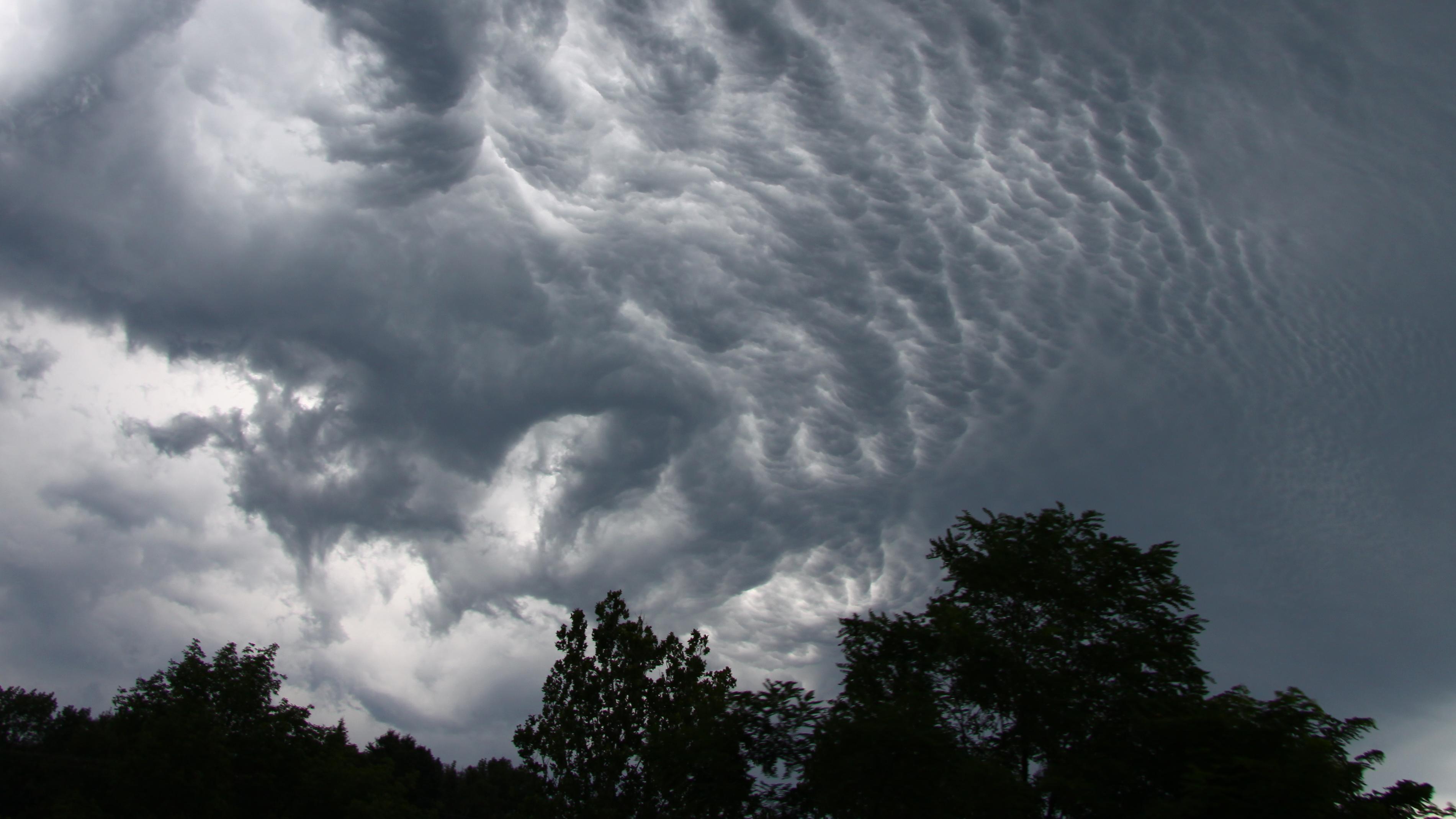 darkening sky with dark gray clouds speckled with white over trees in shadow