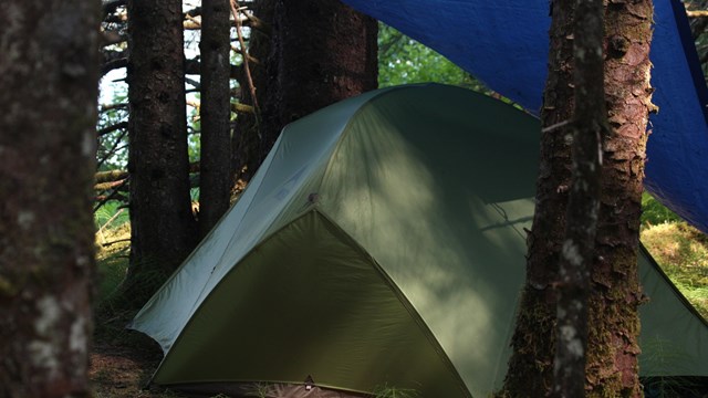 gray-green tent with blue rain tarp nestled in between tree trunks in forest.