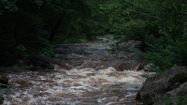 River in forest with high, rough waters. Water is brown with white rapids.