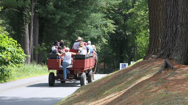 Large red wagon pulled by horses carries visitors over small hill in forest.