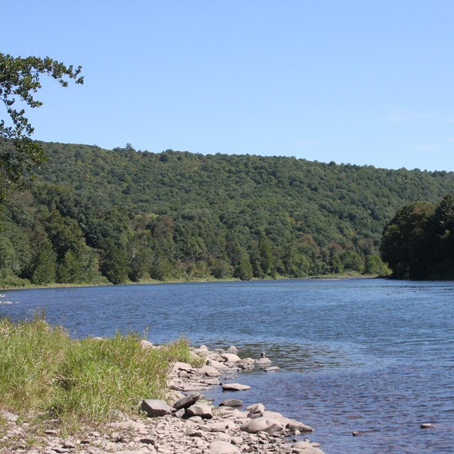 View of blue river winding around lush green hills. Rocky/grassy foreground leads to water.