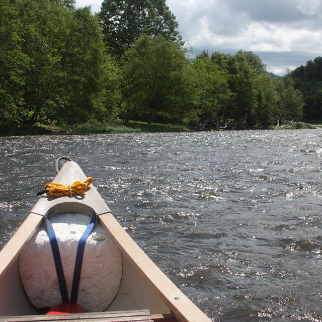 View of the river from on a canoe. Bushy green trees line banks. Tip of canoe on left.