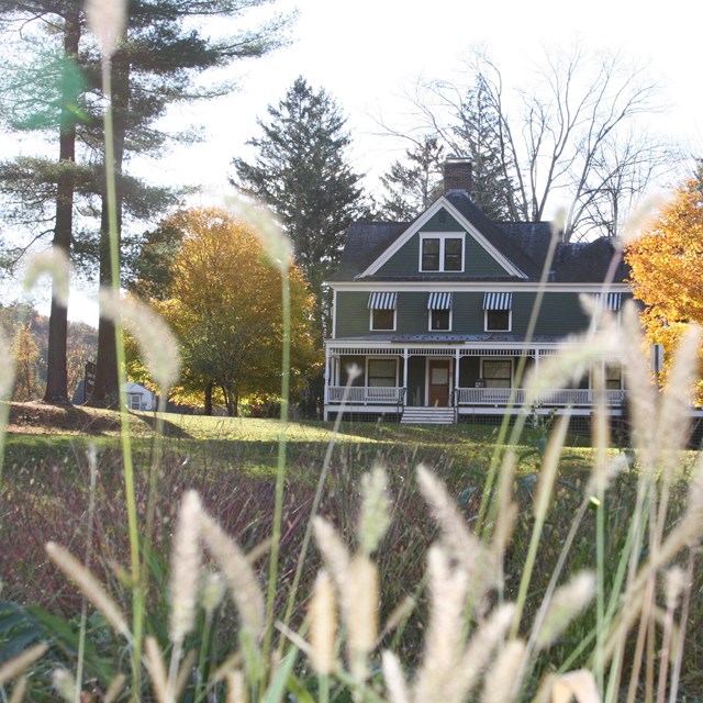 View of Zane Grey Museum in distance with orange trees around it. Tall grasses in foreground.